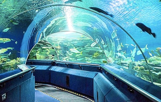 Aquaria KLCC Aquaria KLCC