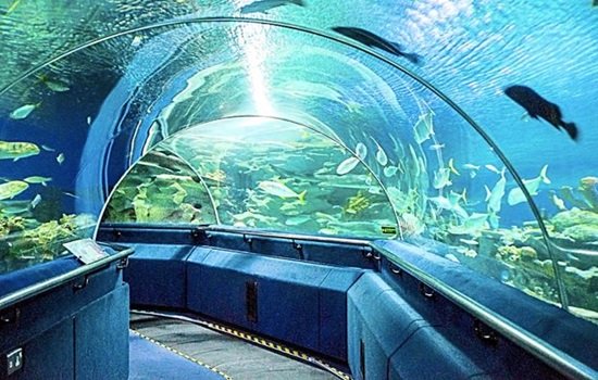 Aquaria KLCC Aquaria KLCC